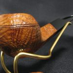 GBD Dynasty 549