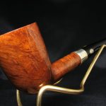 GBD Pedigree 293